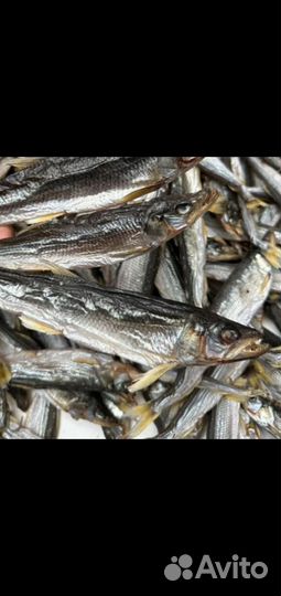 Сушённая рыба