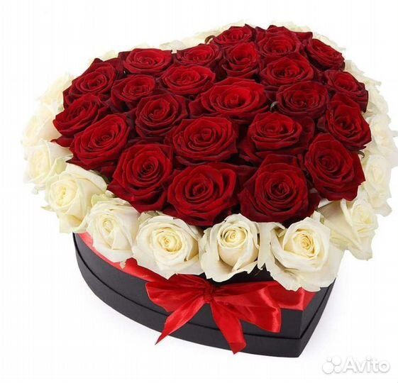 101 51 25 Тюльпанов