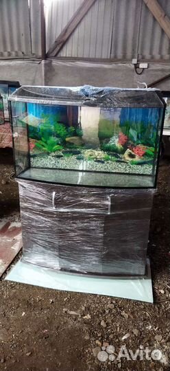 Аквариумы новые в наличии и под заказ Тецевская