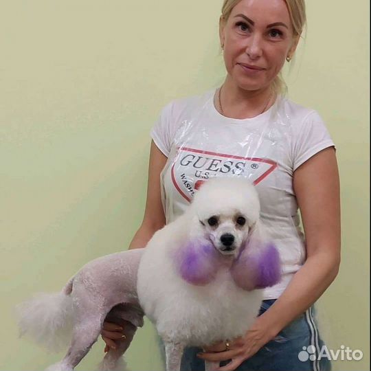 Груминг(стрижки,вычесывания,тримминг, линька)