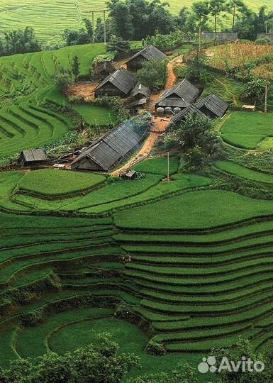 Тур во Вьетнам