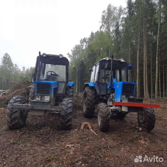 Заготовка леса