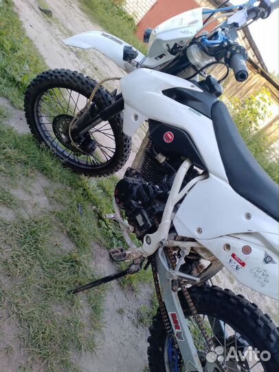 BSE Z1
