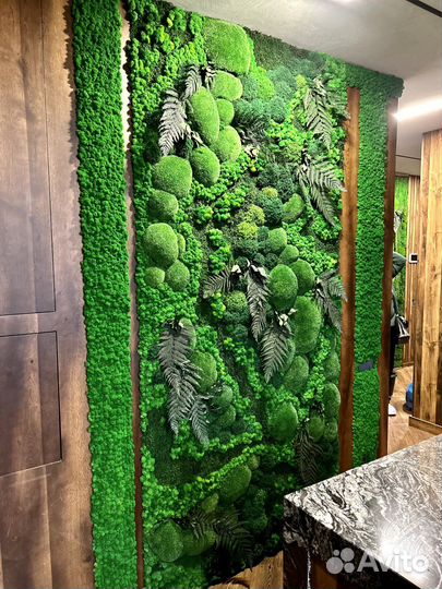 Стабилизированный Мох.Озеленение.Фитостена. Ягель