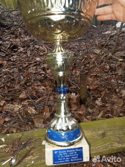 Кубок Италии