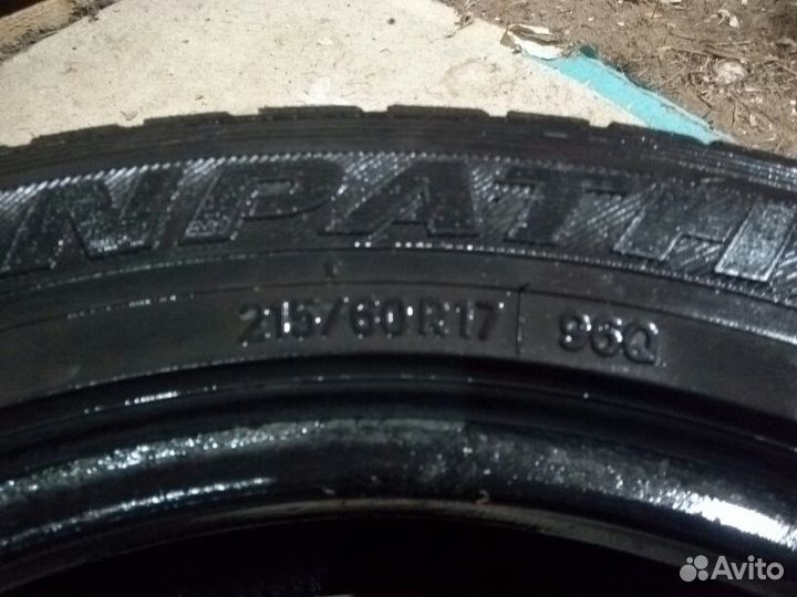 Toyo Winter Tranpath S1 215/60 R17 96Q