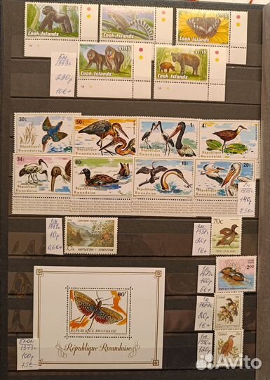 Почтовые марки фауна/флора