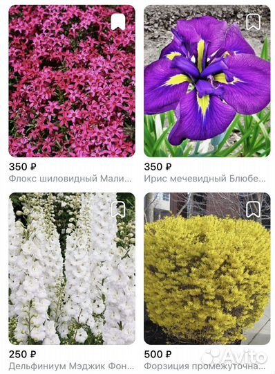 Многолетники садовые