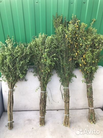 Веники чилиговые