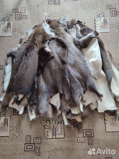 Выделанные шкуры