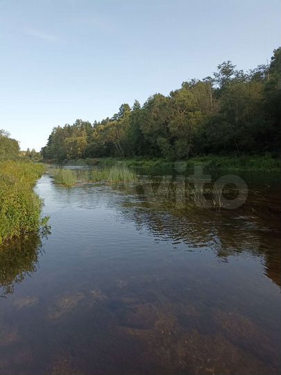 Участок 60 сот. (ИЖС)