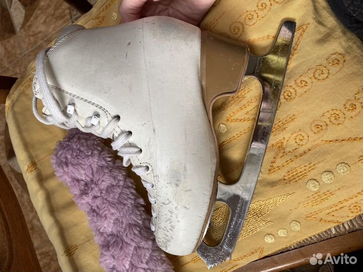 Фигурные коньки edea chorus 220