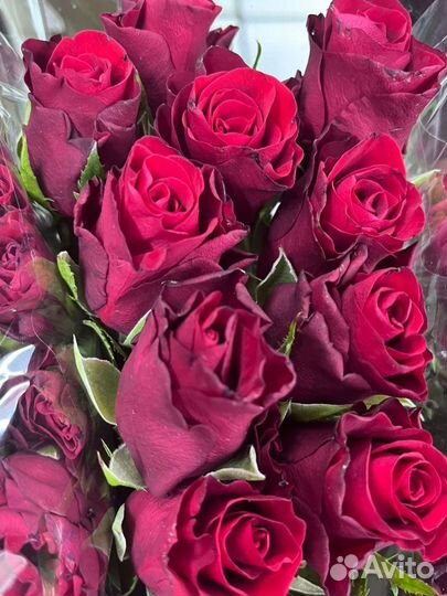 Розы к майским праздникам Волгоград