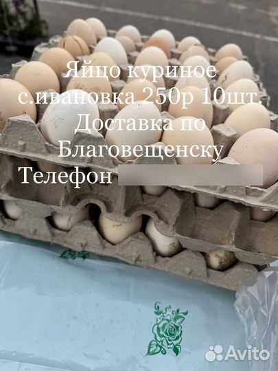 Домашняя продукция