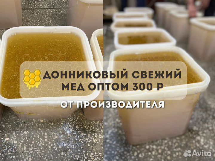 Мед Донник качка 2023 год