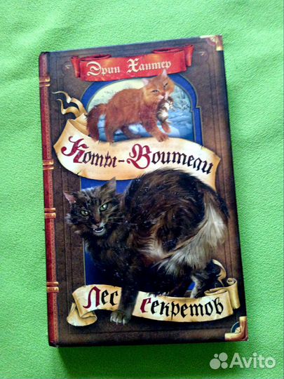 Коты воители книги