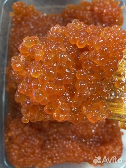 Красная икра