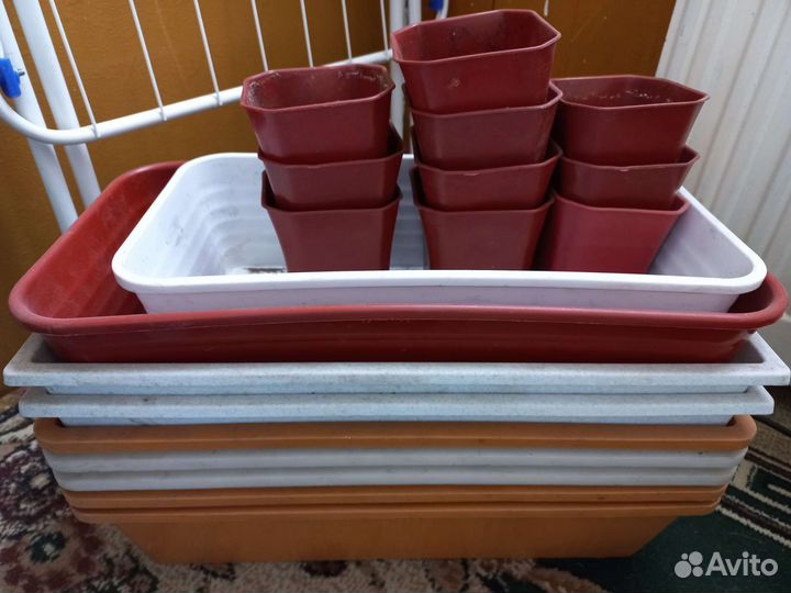 Ящики и стаканчики под рассаду
