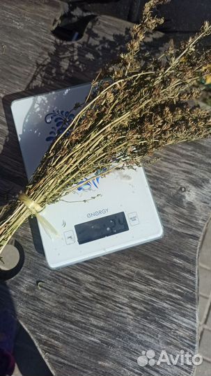 Иссоп сушеный