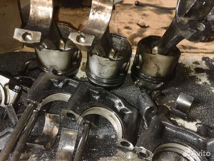 Поршни Газ 560