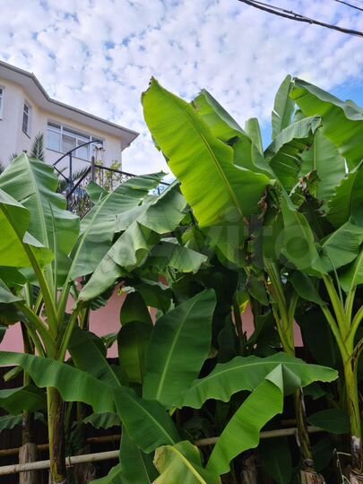 Коттедж 426 м² на участке 4 сот.