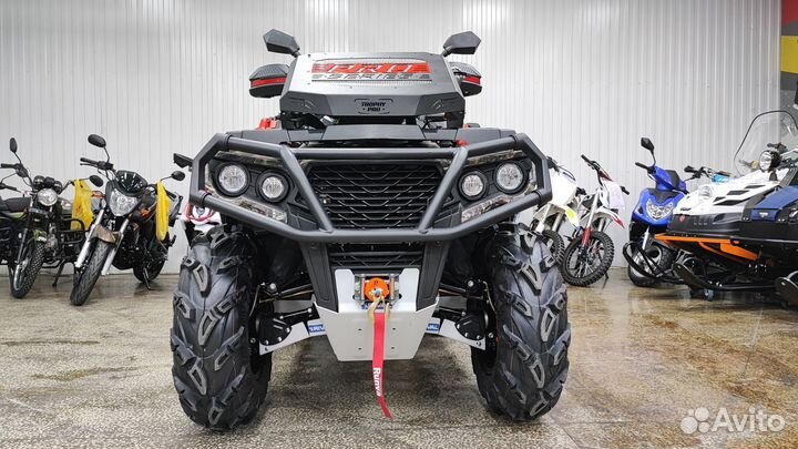 Квадроцикл aodes pathcross MAX 650 XE PRO