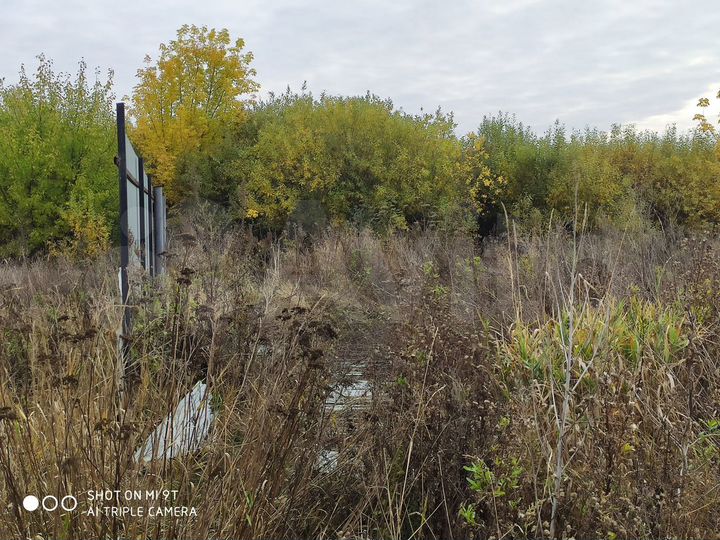 Участок 21 сот. (ИЖС)