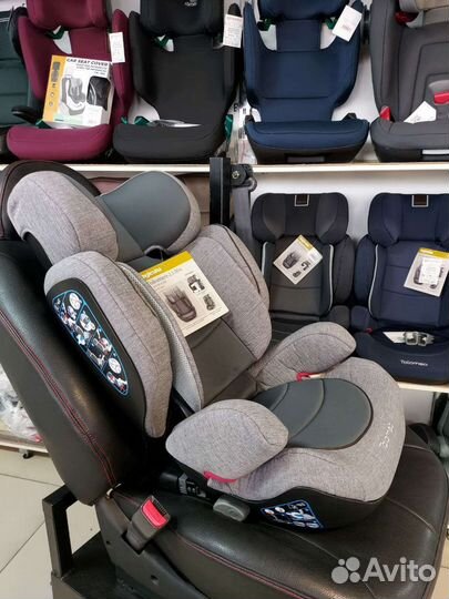 Детское автокресло Inglesina Tolomeo 15-36