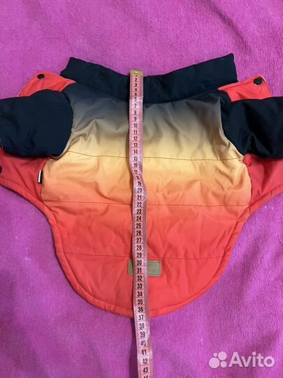 Одежда для собак