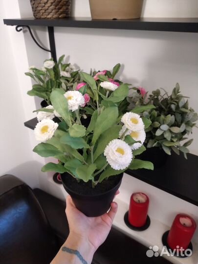 Декоративные цветы Икея/ IKEA fejka