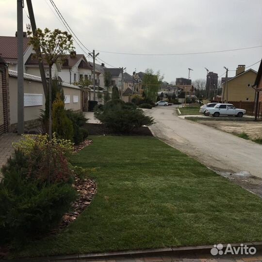 Рулонный газон под ключ с укладкой