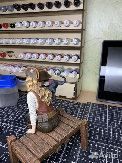 Модель Пиратка