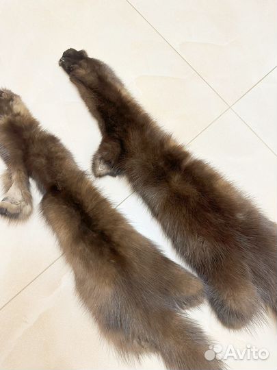 Шкурки куницы
