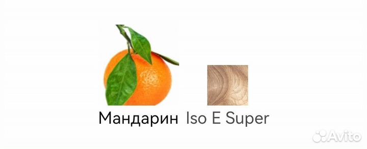 Molecule 01 + Mandarin Escentric Molecules