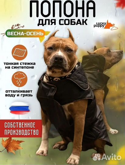 Попона для собак/одежда для собак новая