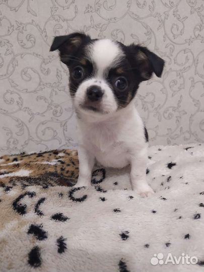 Космический мальчик