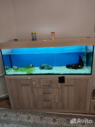 Аквариум