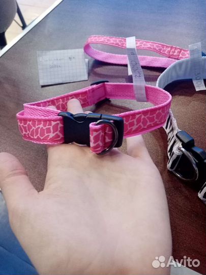 Ошейник для собак