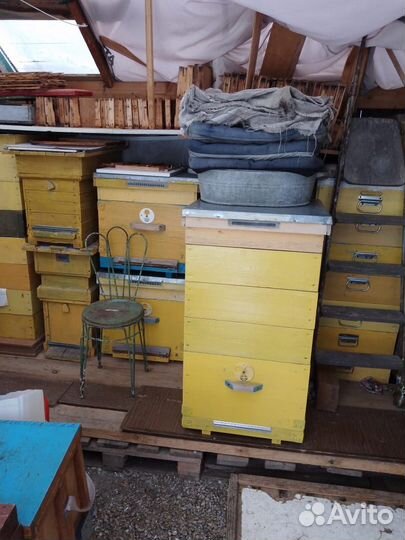 Продается пасечное оборудование