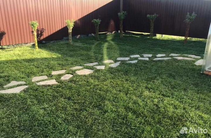 Рулонный газон, газон посевной