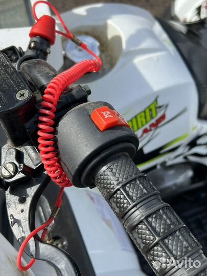 Квадроцикл Motoland Wild 125