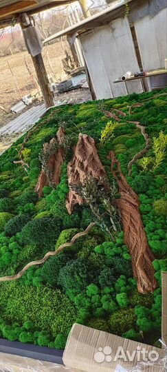 Панно из стабилизированного мха