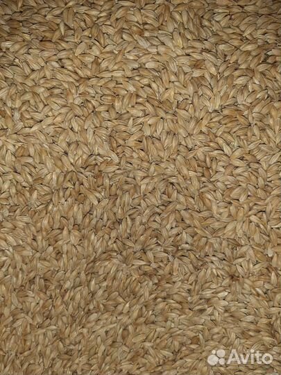 Корма для сельскохозяйственных животных