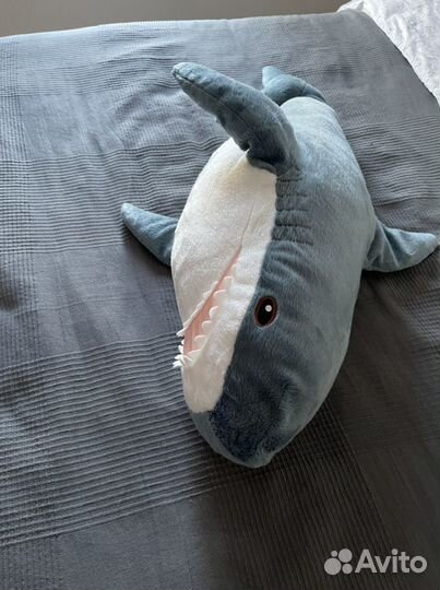 Акула блохэй из IKEA