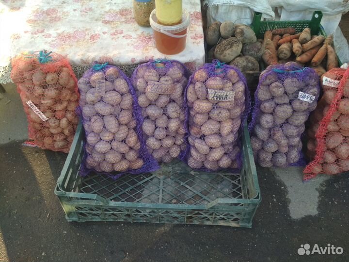 Картофель доставка бесплатно