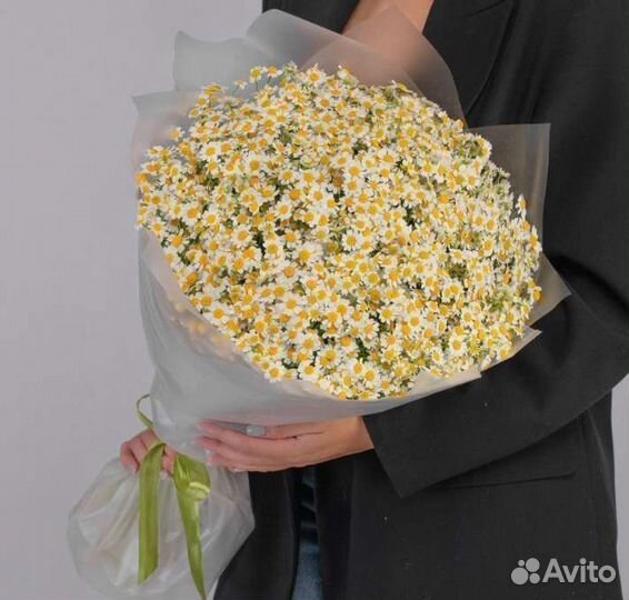 Цветы. Букет ромашек Казань