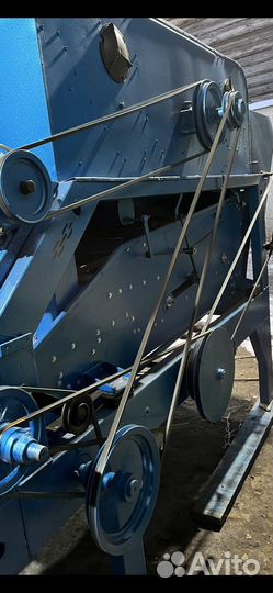 Петкуса большой выбор