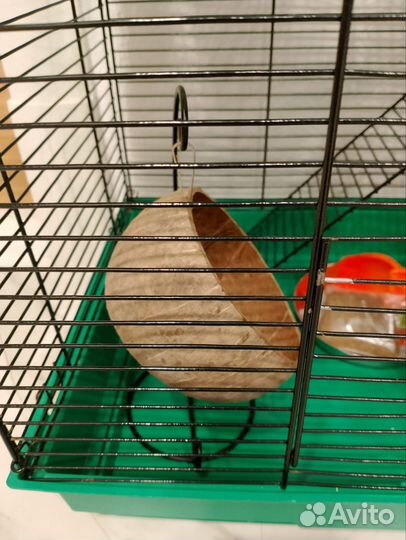 Клетка для грызунов большая