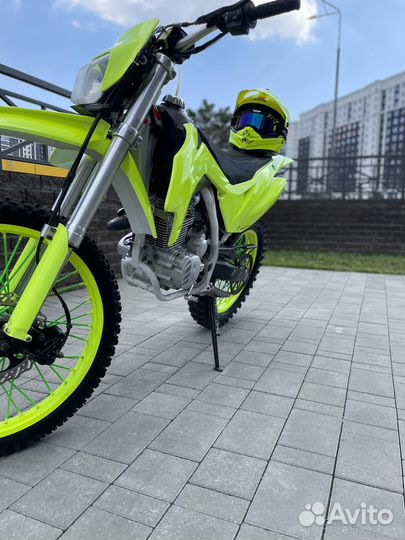 Avantis 250 FX 250 LUX