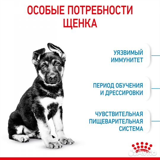 15 кг, Royal Canin Puppy Maxi